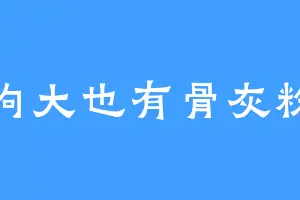 狗大也有骨灰粉