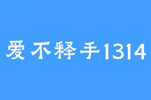 爱不释手1314