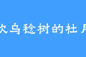 喜欢乌稔树的杜月笙