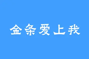 金条爱上我