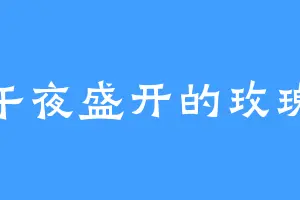 午夜盛开的玫瑰