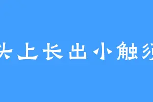 头上长出小触须