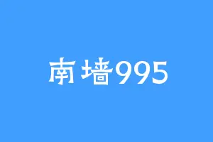 南墙995