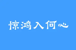 惊鸿入何心