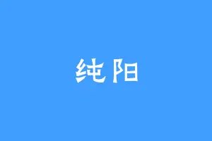 纯阳