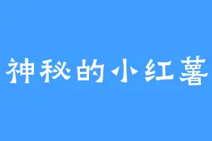神秘的小红薯