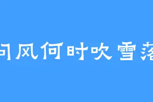 问风何时吹雪落
