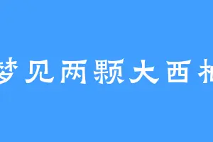 梦见两颗大西柚