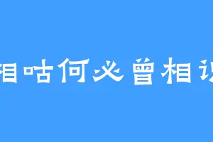 相咕何必曾相识