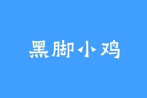 黑脚小鸡