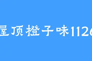 屋顶橙子味1126