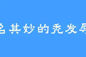 莫名其妙的秃发辱檀