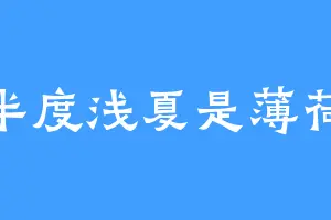 半度浅夏是薄荷