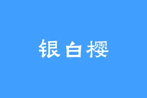 银白樱