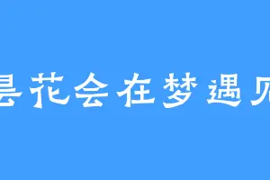 昙花会在梦遇见