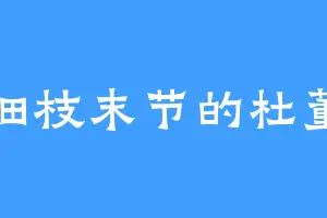 细枝末节的杜董