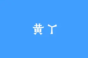 黄丫