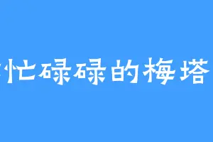 忙忙碌碌的梅塔鲁