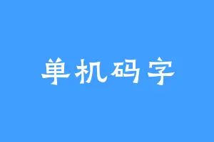单机码字