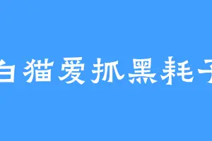 白猫爱抓黑耗子