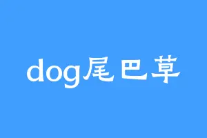 dog尾巴草