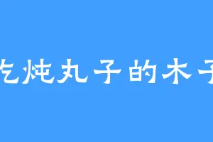 爱吃炖丸子的木子齐