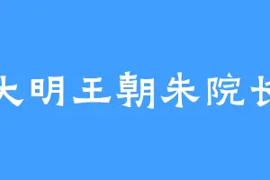 大明王朝朱院长