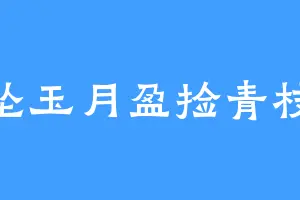 坠玉月盈捡青枝