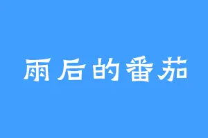 雨后的番茄
