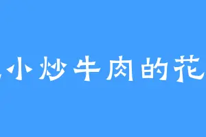 爱吃小炒牛肉的花鸿风