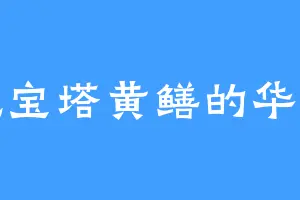 爱吃宝塔黄鳝的华晨叶
