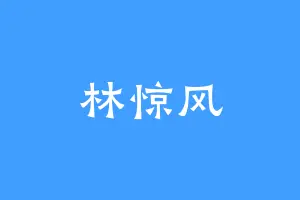 林惊风