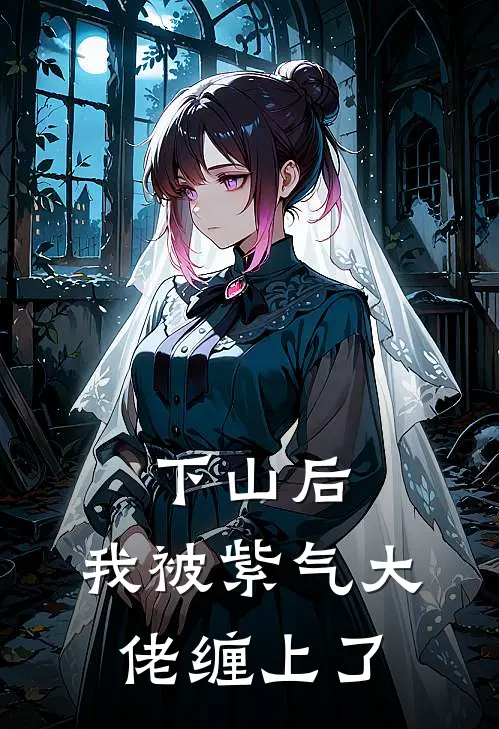 下山后，我被紫气大佬缠上了