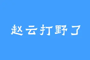 赵云打野了