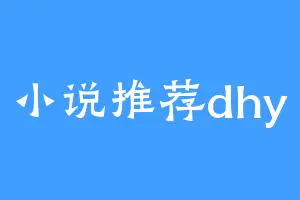 小说推荐dhy