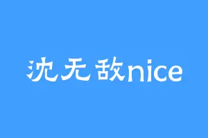 沈无敌nice