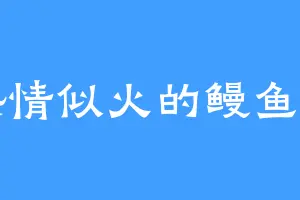 热情似火的鳗鱼丫