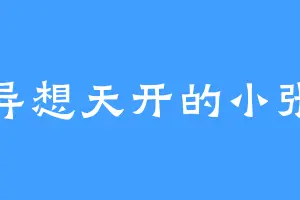 异想天开的小张