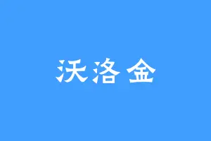 沃洛金