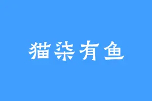 猫柒有鱼