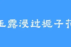 玉露浸过栀子花