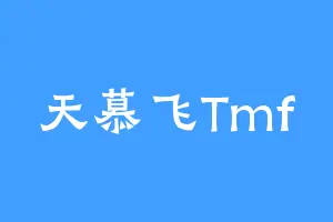 天慕飞Tmf