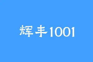 辉丰1001