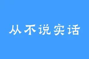 从不说实话