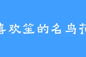 喜欢笙的名鸟花