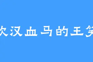 喜欢汉血马的王笑道