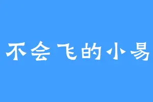 不会飞的小易