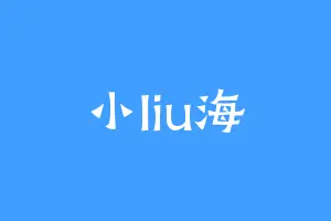 小liu海