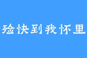 殓殓快到我怀里来
