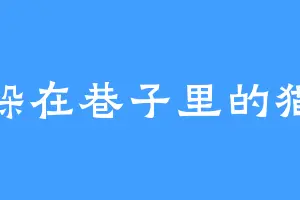 躲在巷子里的猫